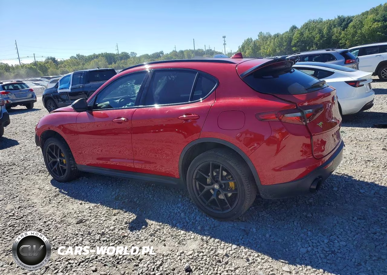 2020 Alfa Romeo Stelvio Rwd VIN:ZASPAJAN8L7C96044 - 2