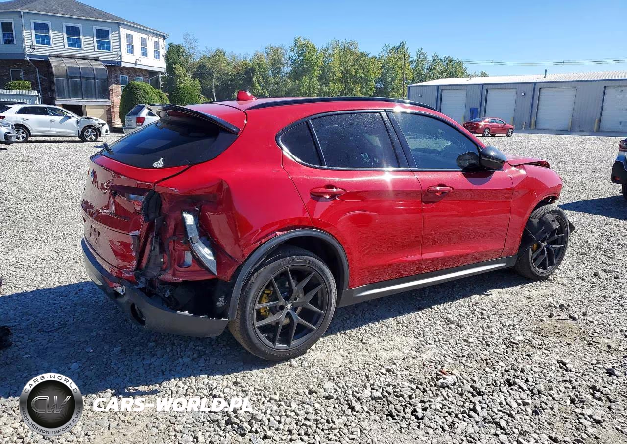 2020 Alfa Romeo Stelvio Rwd VIN:ZASPAJAN8L7C96044 - 3
