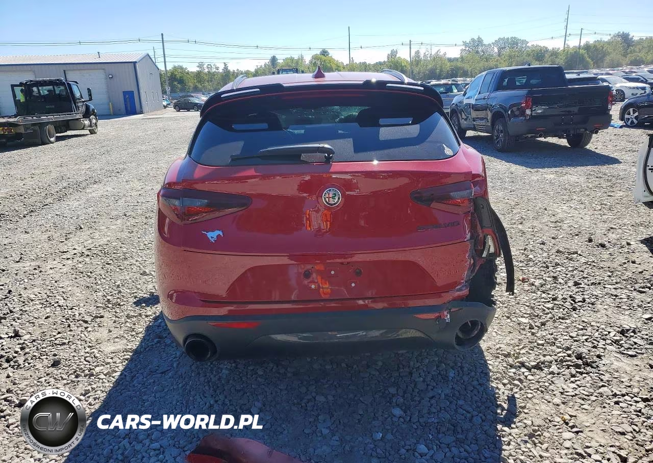 2020 Alfa Romeo Stelvio Rwd VIN:ZASPAJAN8L7C96044 - 6