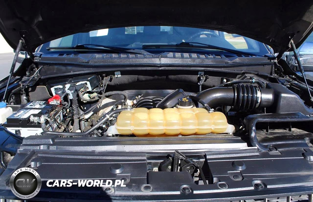 2020 Ford F150 Supercrew VIN:1FTEW1E57LKD25901 - 7