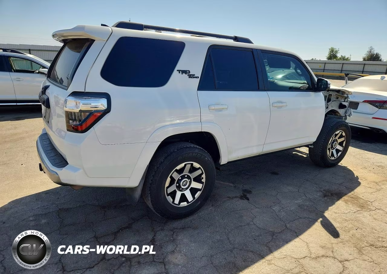 2019 Toyota 4Runner Trd Off-Road Premium VIN:JTEBU5JR0K5692852 - 3