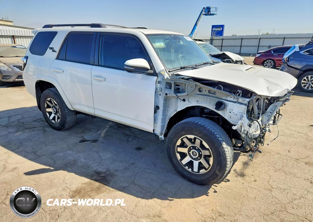 2019 Toyota 4Runner Trd Off-Road Premium VIN:JTEBU5JR0K5692852 - 4
