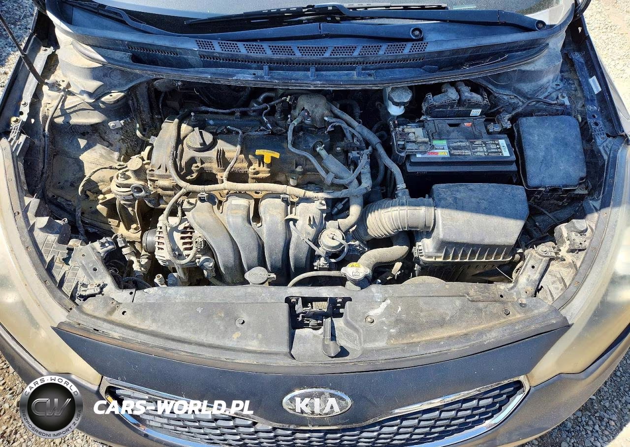 2015 Kia Forte Ex VIN:KNAFZ4A84F5350302 - 11