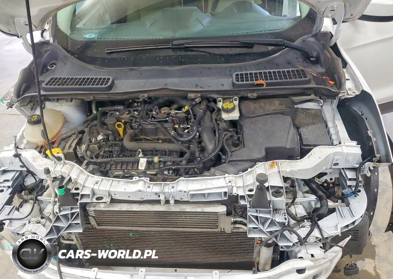 2019 Ford Escape Se VIN:1FMCU0GD0KUA01442 - 11