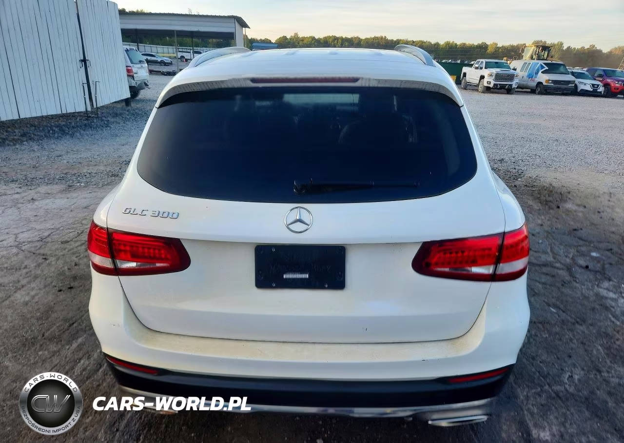 2017 Mercedes-Benz Glc 300 VIN:WDC0G4JB6HF196807 - 6