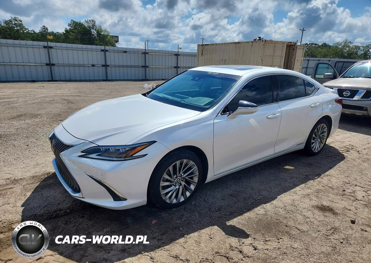 2020 Lexus Es 300H Luxury VIN:58AE21B12LU007187 - 1