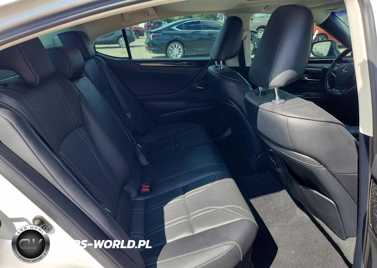 2020 Lexus Es 300H Luxury VIN:58AE21B12LU007187 - 10