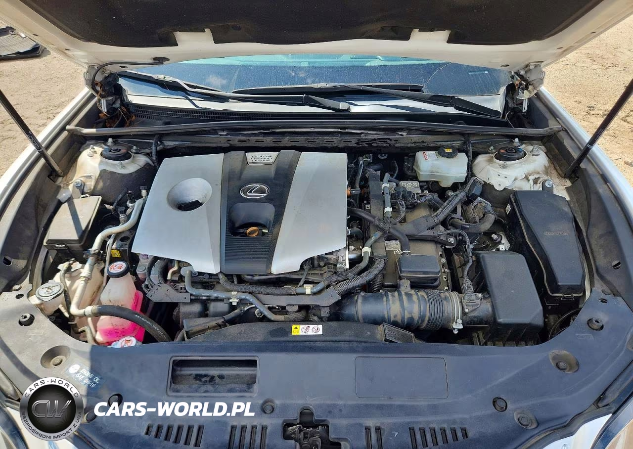2020 Lexus Es 300H Luxury VIN:58AE21B12LU007187 - 11