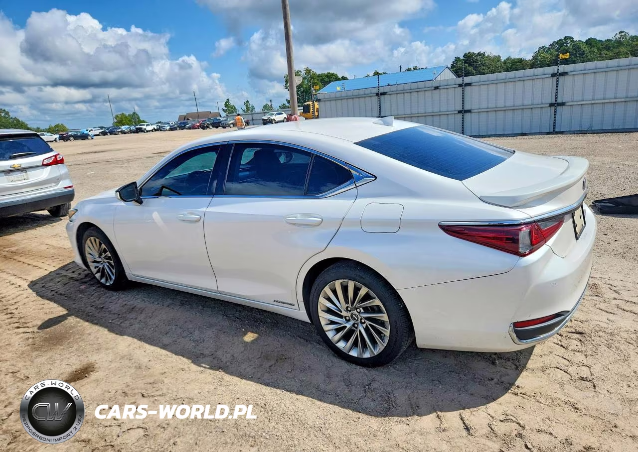 2020 Lexus Es 300H Luxury VIN:58AE21B12LU007187 - 2