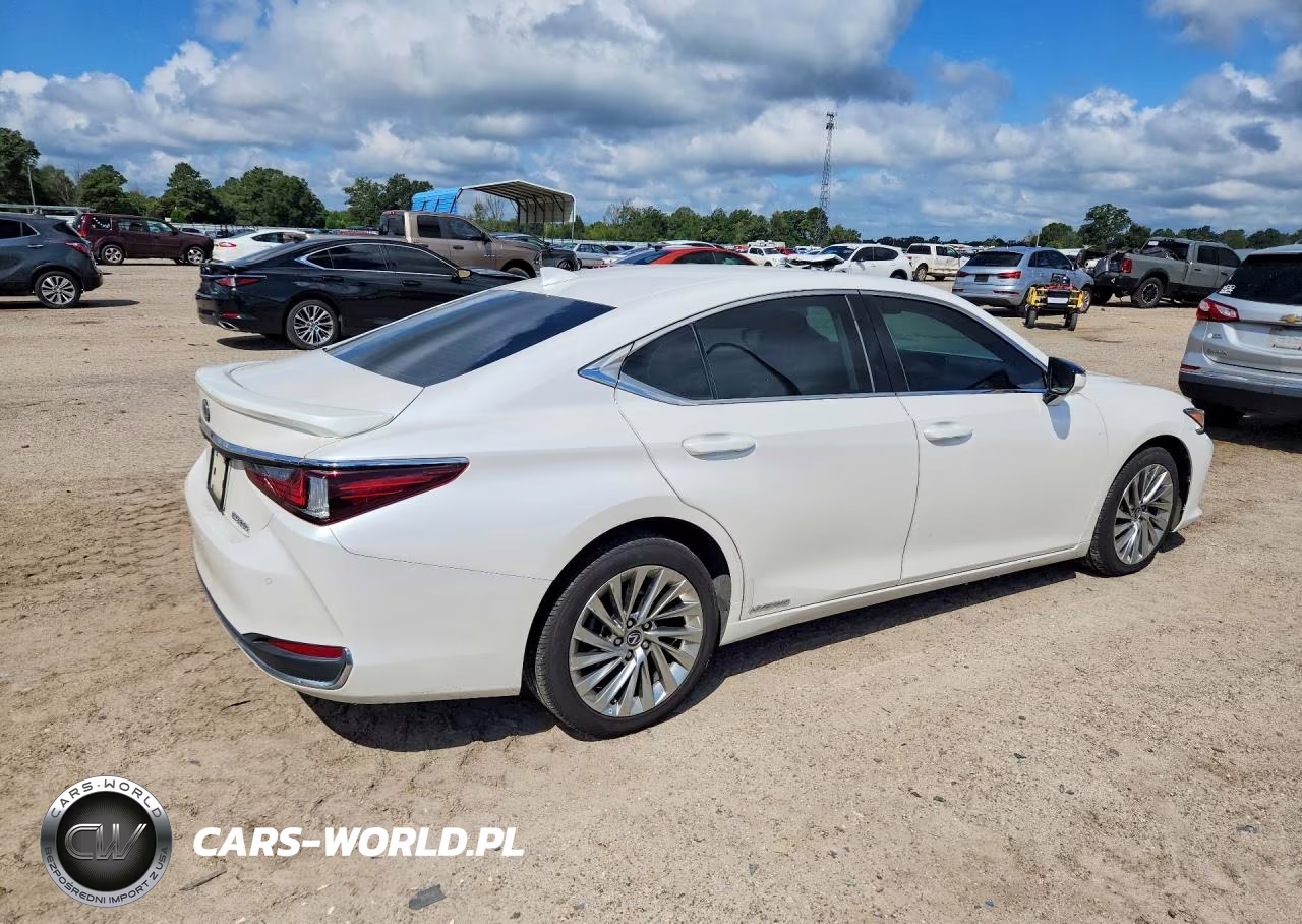 2020 Lexus Es 300H Luxury VIN:58AE21B12LU007187 - 3