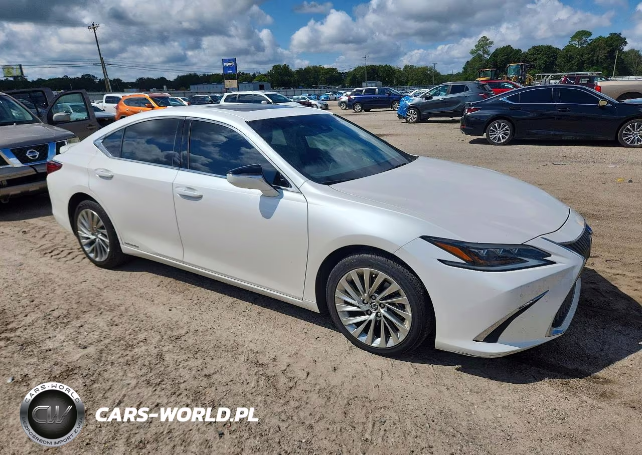 2020 Lexus Es 300H Luxury VIN:58AE21B12LU007187 - 4