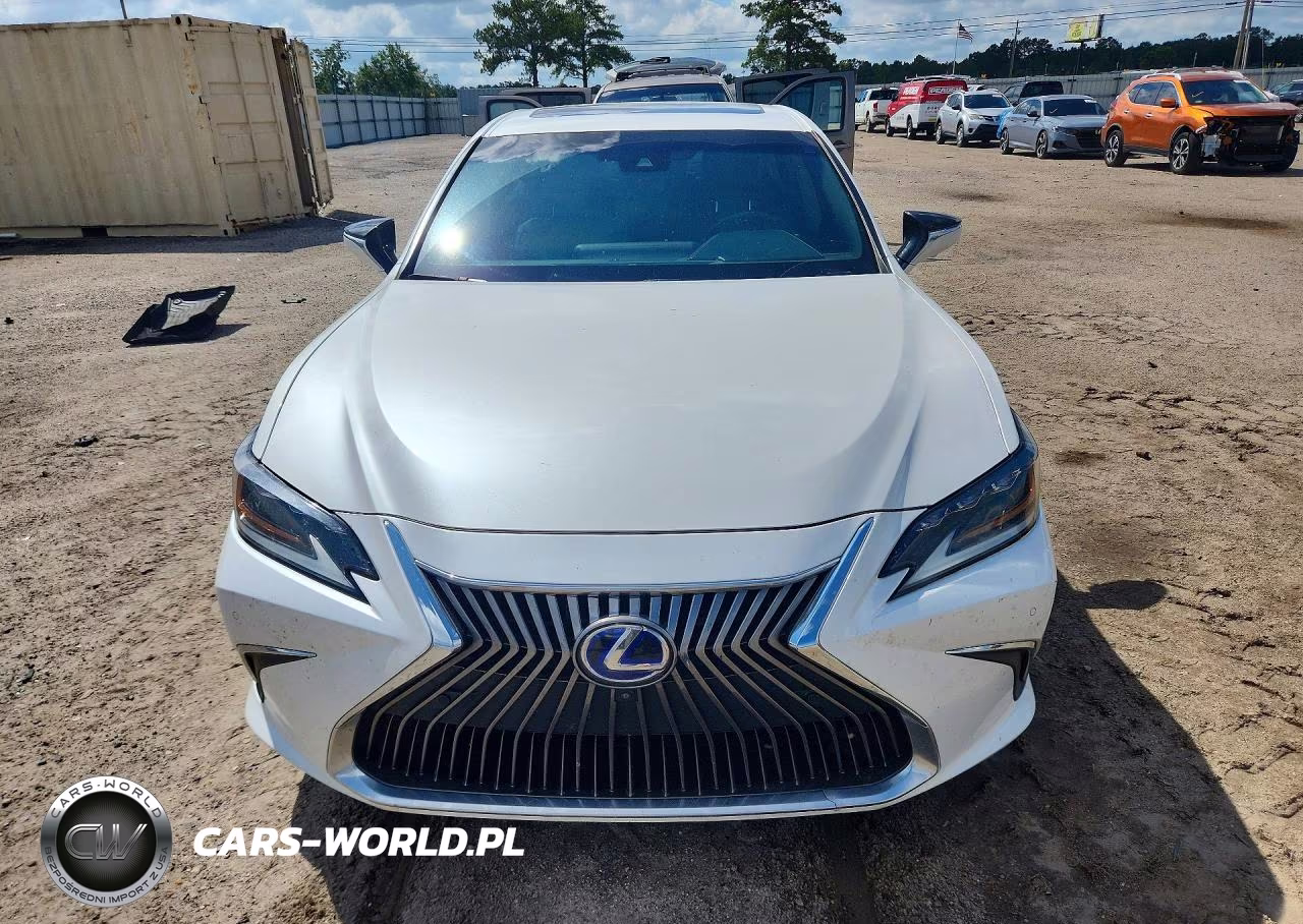 2020 Lexus Es 300H Luxury VIN:58AE21B12LU007187 - 5