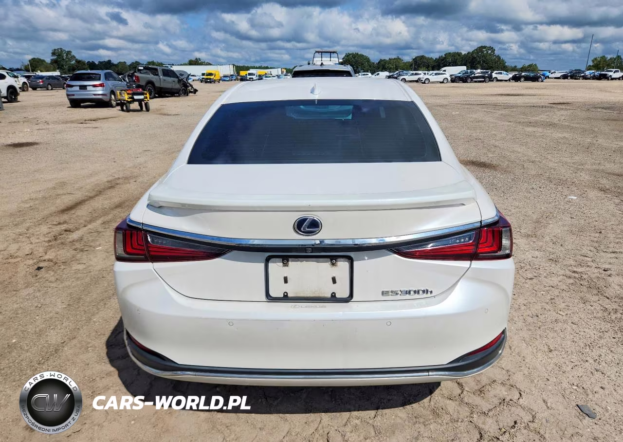 2020 Lexus Es 300H Luxury VIN:58AE21B12LU007187 - 6