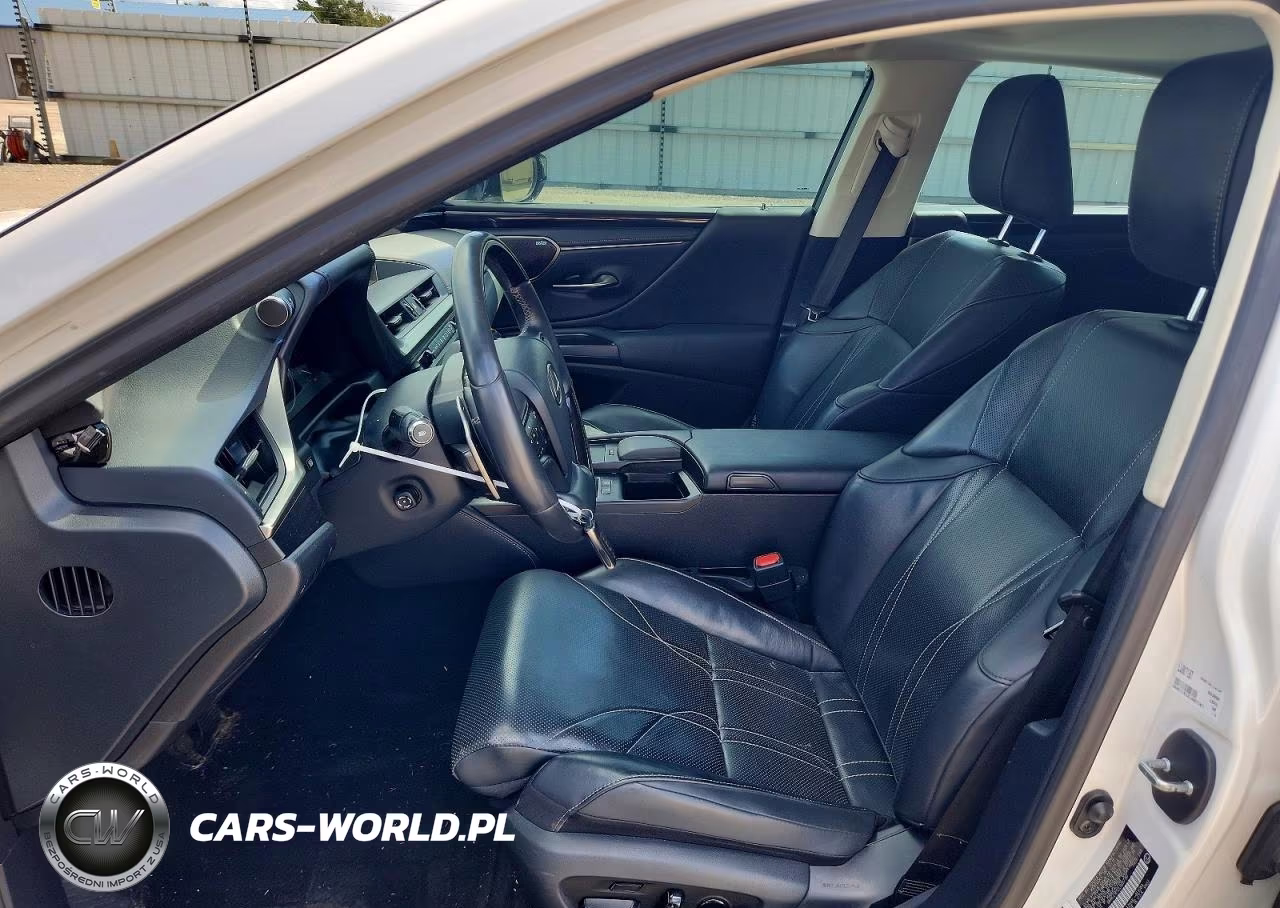 2020 Lexus Es 300H Luxury VIN:58AE21B12LU007187 - 7