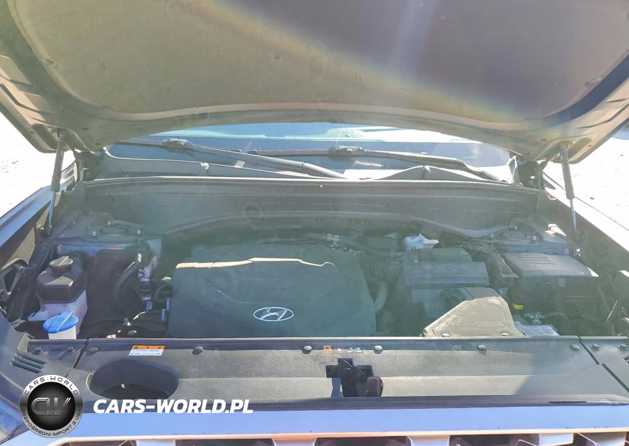 2021 Hyundai Palisade Sel VIN:KM8R24HE0MU223870 - 11