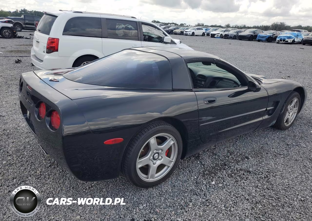 1998 Chevrolet Corvette VIN:1G1YY22G7W5108363 - 3