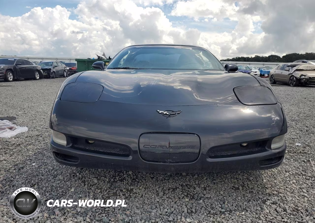 1998 Chevrolet Corvette VIN:1G1YY22G7W5108363 - 5