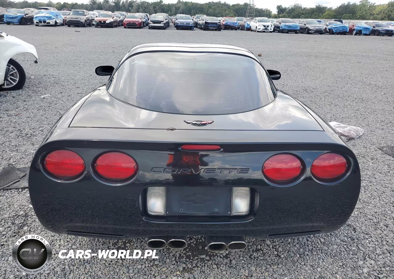 1998 Chevrolet Corvette VIN:1G1YY22G7W5108363 - 6