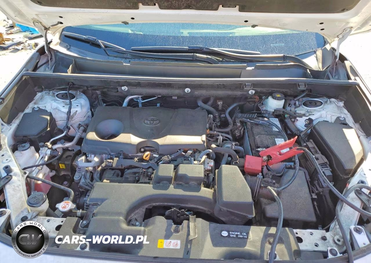 2023 Toyota Rav4 Xle VIN:2T3W1RFV9PC219061 - 12