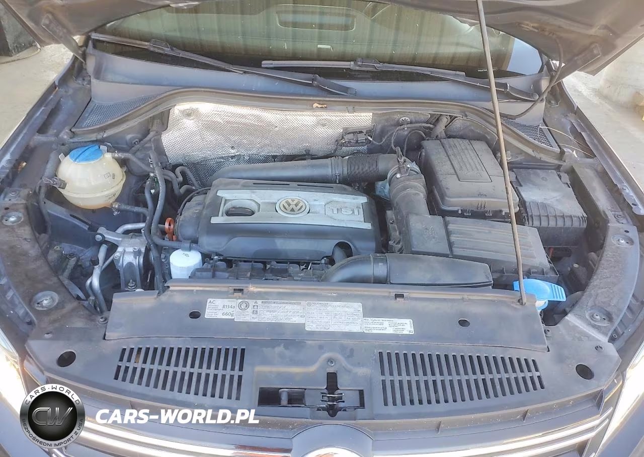 2012 Volkswagen Tiguan S VIN:WVGAV7AX2CW505271 - 11