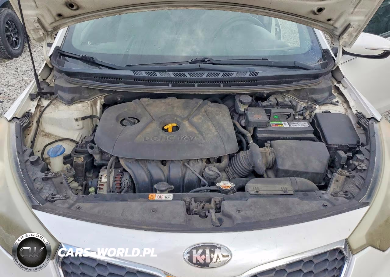 2014 Kia Forte Lx VIN:KNAFX4A60E5088684 - 11