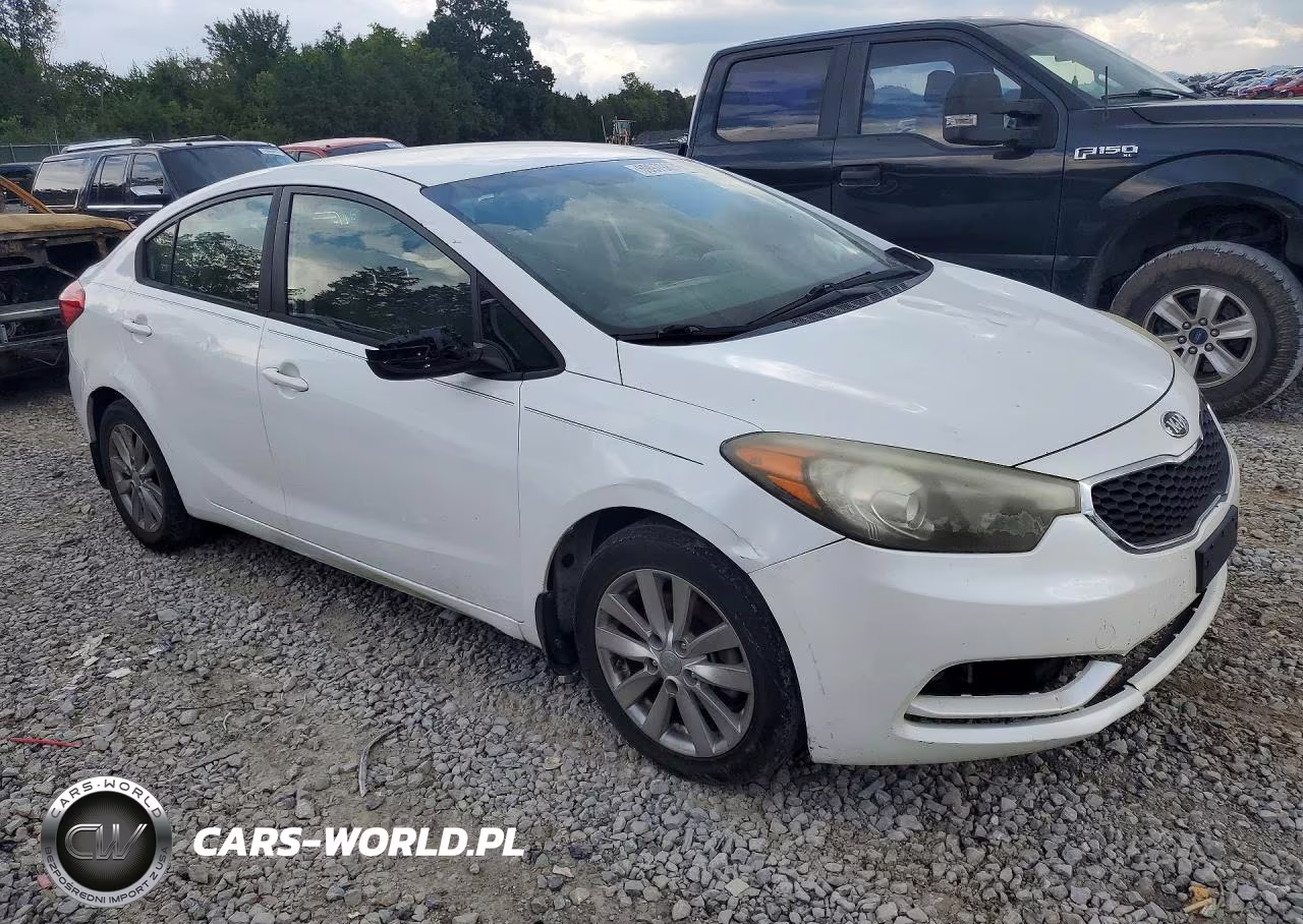 2014 Kia Forte Lx VIN:KNAFX4A60E5088684 - 4