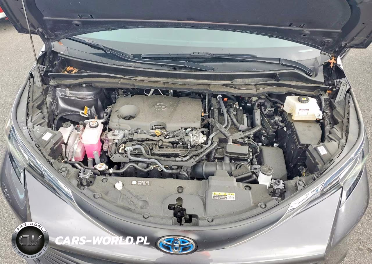 2025 Toyota Sienna Xle 8-Passenger VIN:5TDYRKEC9SS259030 - 12