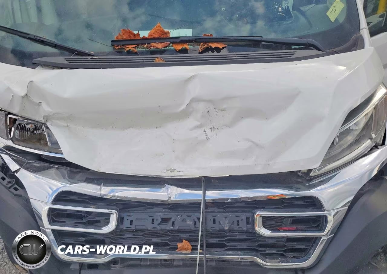2025 Ram Promaster 2500 2500 Standard VIN:3C6LRVVGXSE526515 - 12