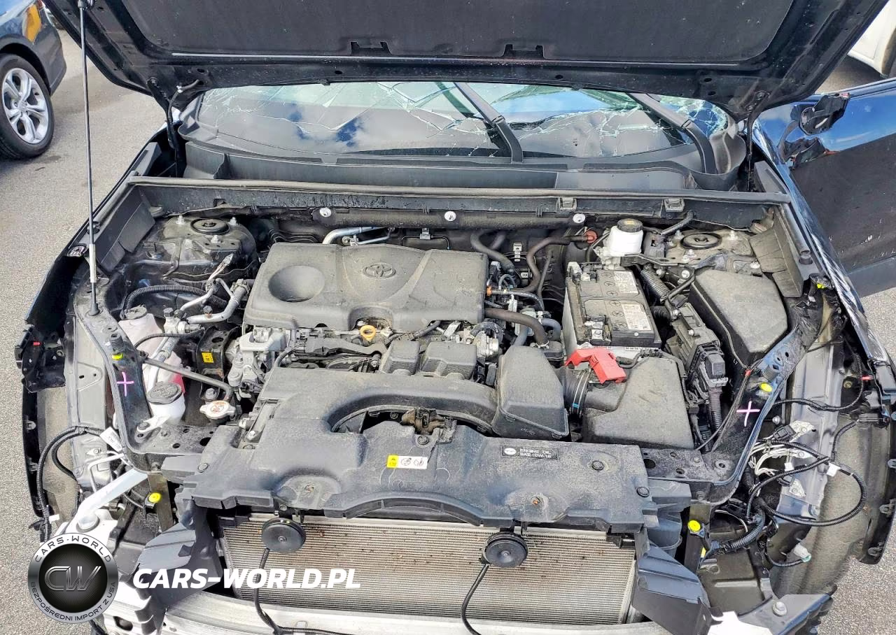 2025 Toyota Rav4 Xle VIN:2T3P1RFV5SW554409 - 12