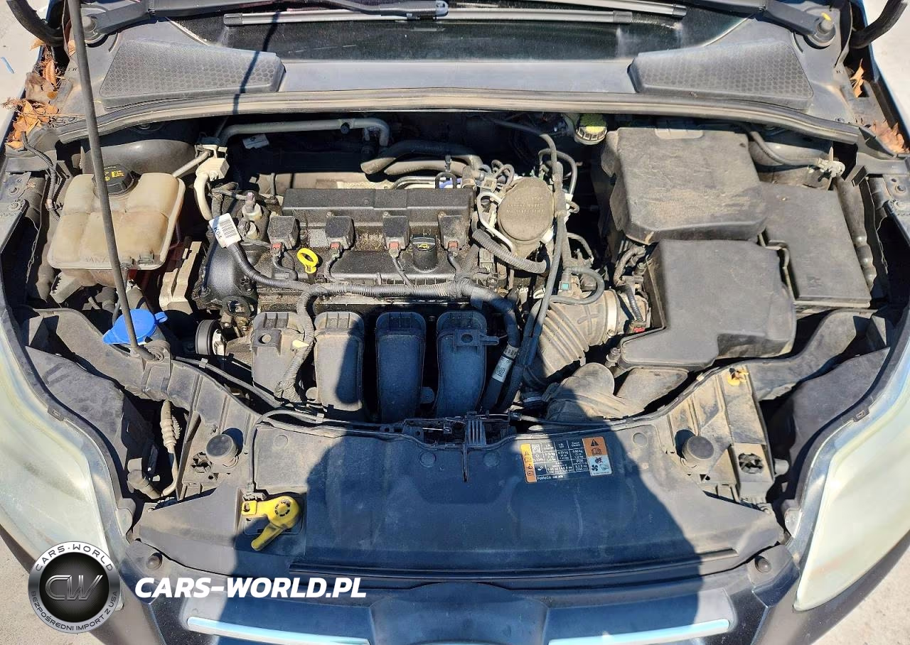 2014 Ford Focus Se VIN:1FADP3F2XEL457918 - 11