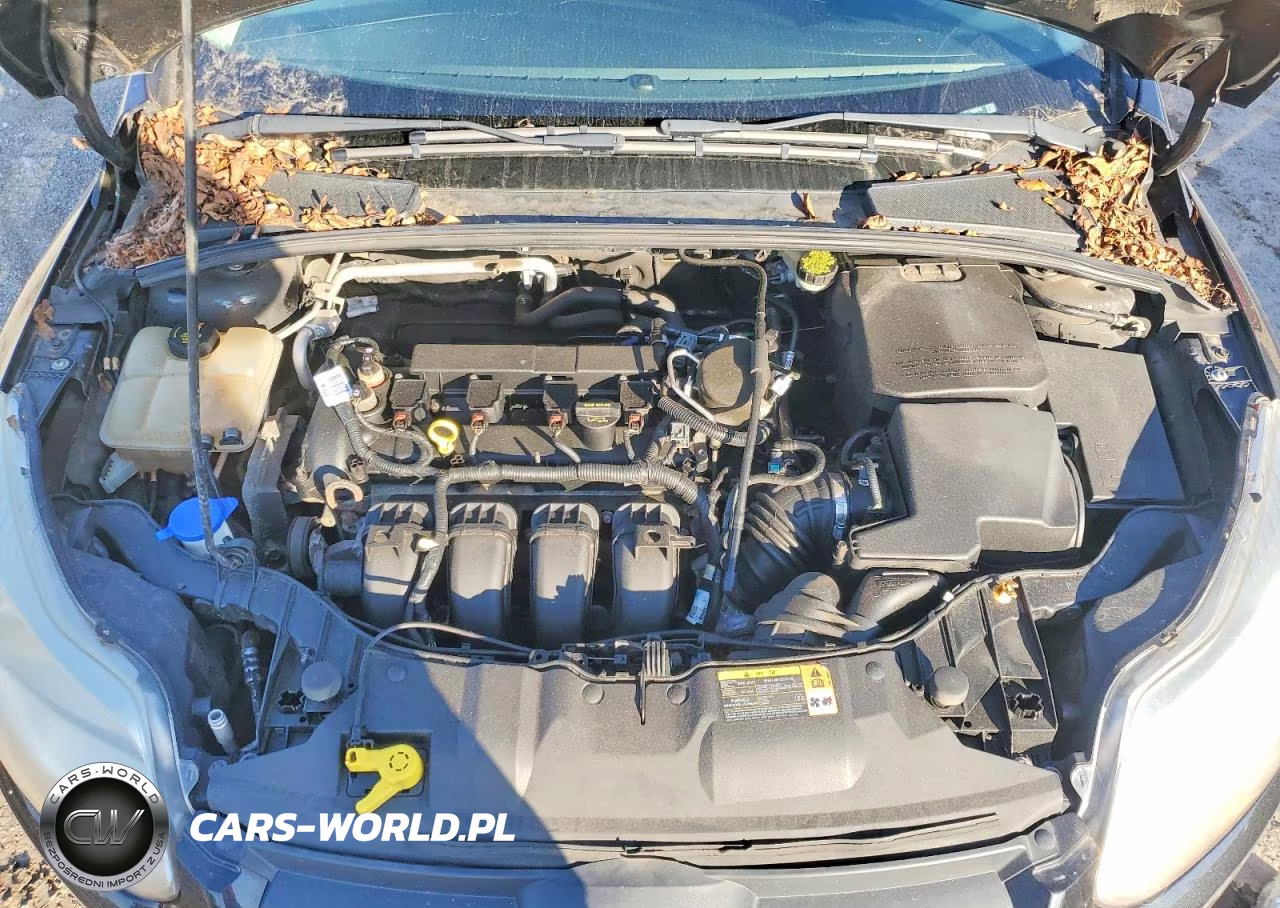 2014 Ford Focus Se VIN:1FADP3K29EL260812 - 11