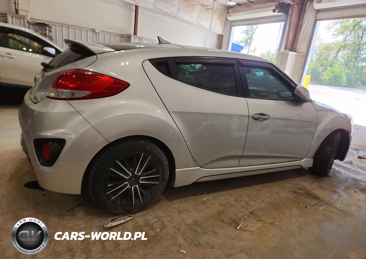2013 Hyundai Veloster Turbo VIN:KMHTC6AE6DU132689 - 3