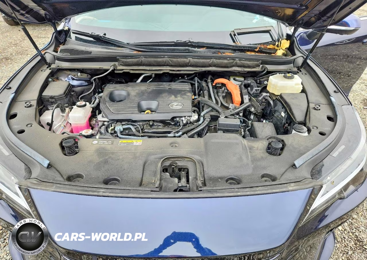 2024 Lexus Rx 350H Premium VIN:2T2BBMCA0RC030550 - 12