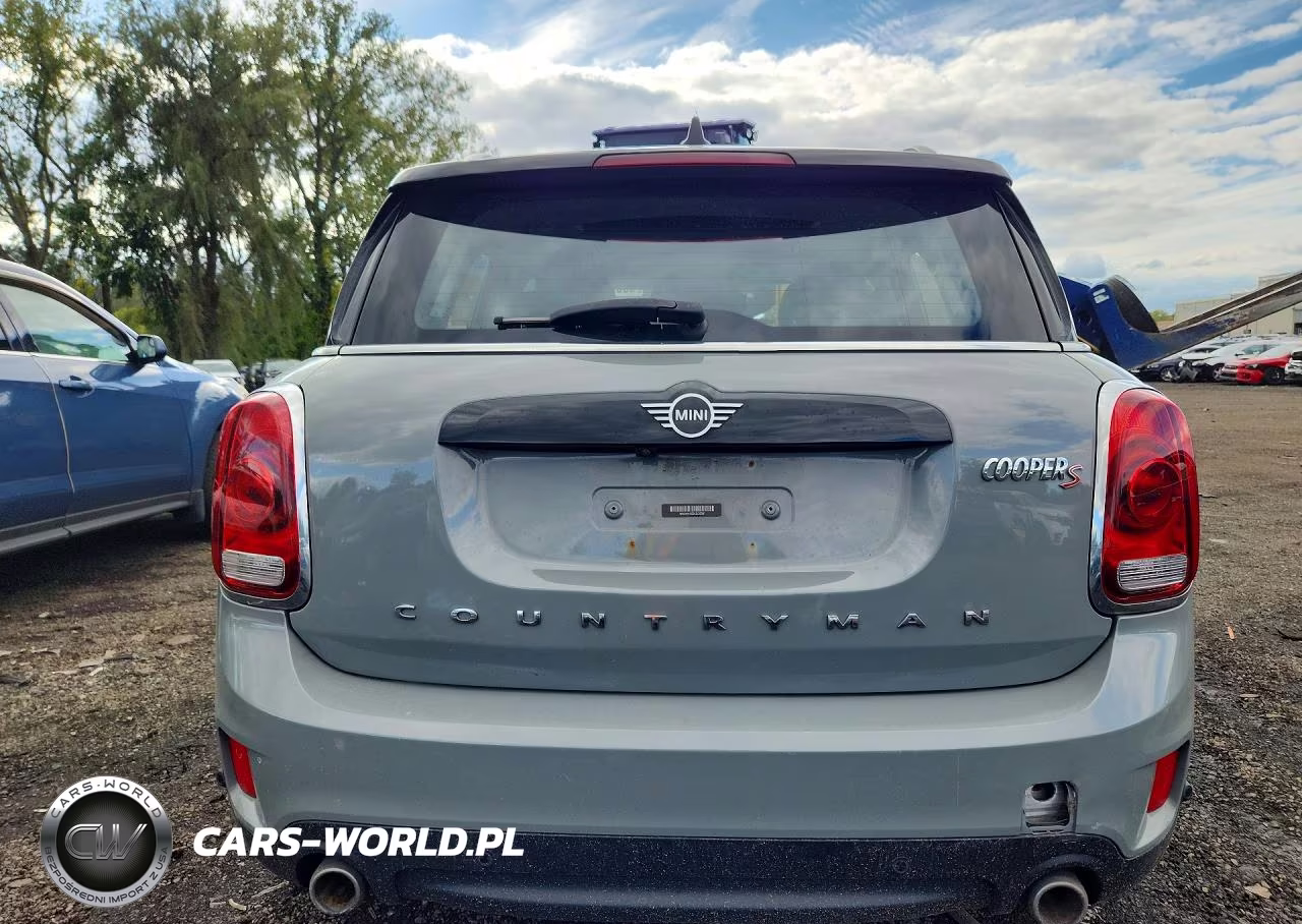 2020 Mini Cooper S Countryman All4 VIN:WMZYX1C02L3L25381 - 6