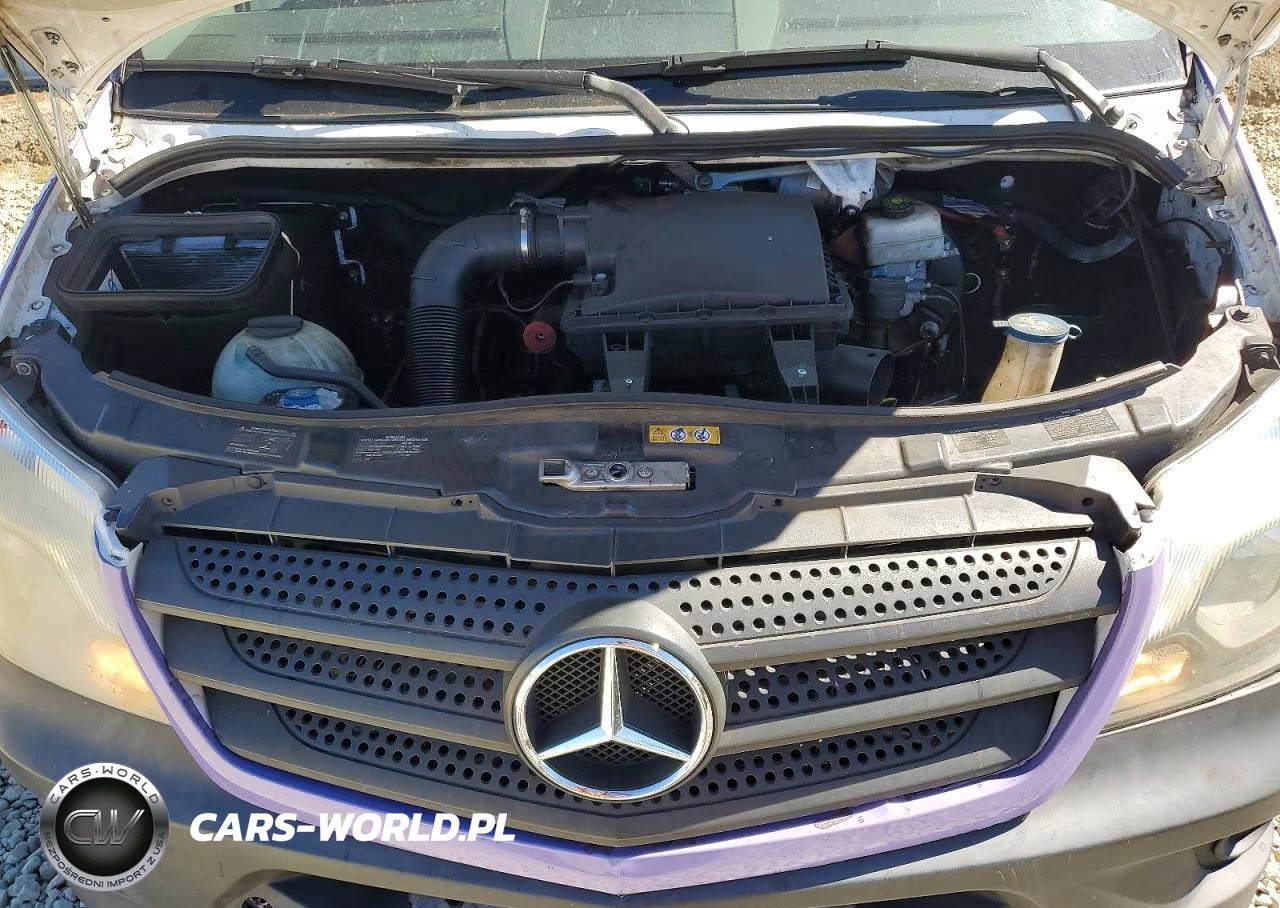 2016 Mercedes-Benz Sprinter 2500 Food Truck VIN:WD4PE7DD4GP222781 - 11