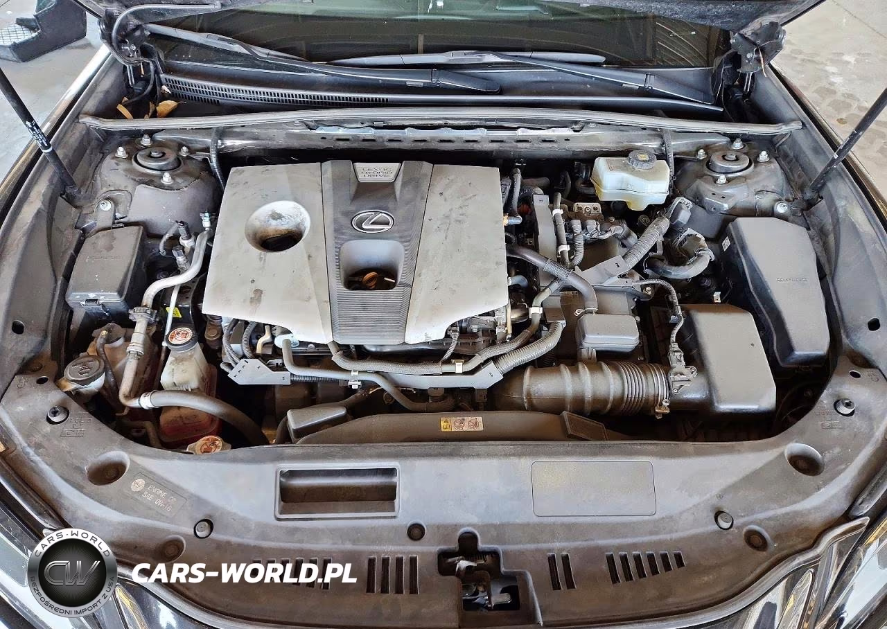 2019 Lexus Es 300H VIN:58AB21B16KU002169 - 11