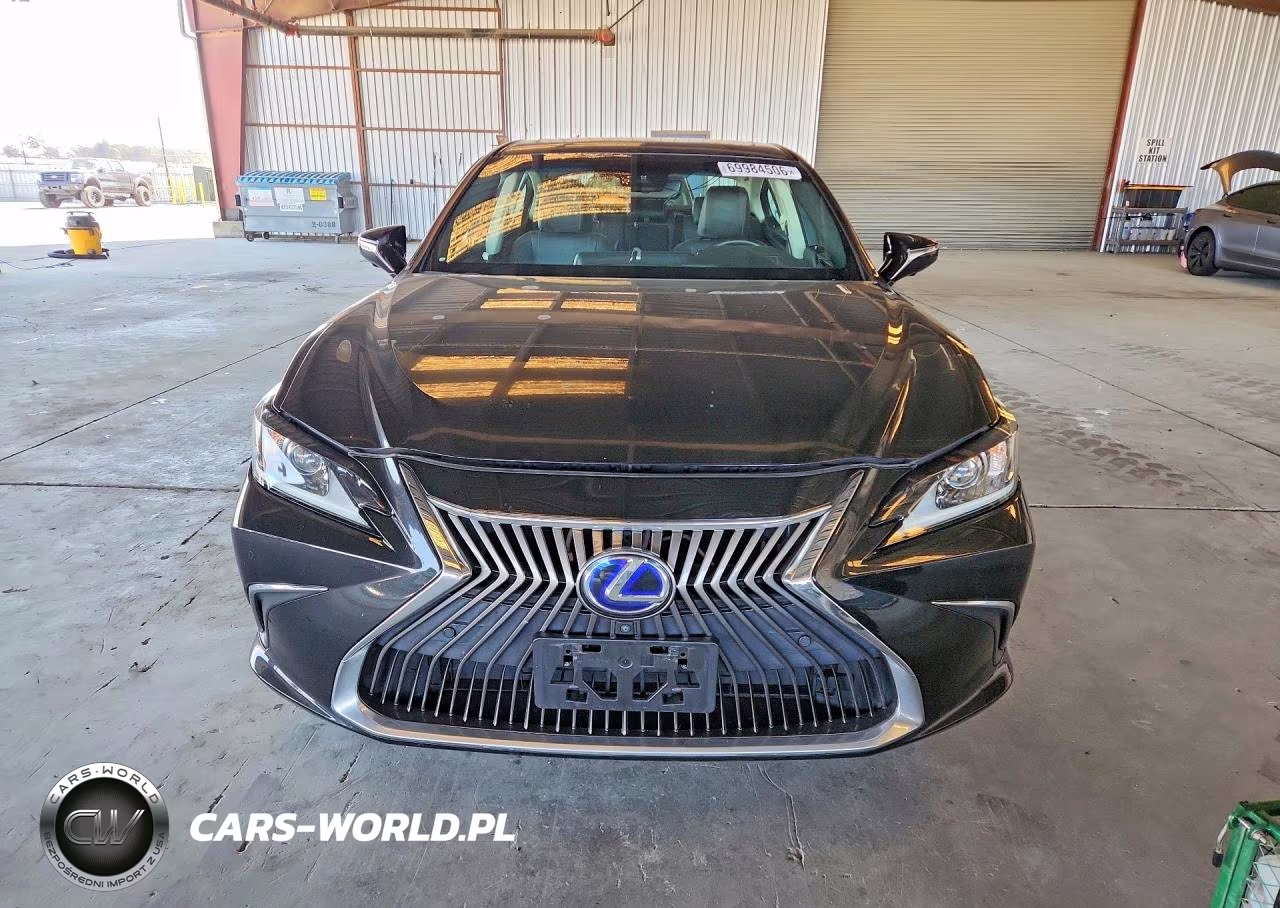 2019 Lexus Es 300H VIN:58AB21B16KU002169 - 5