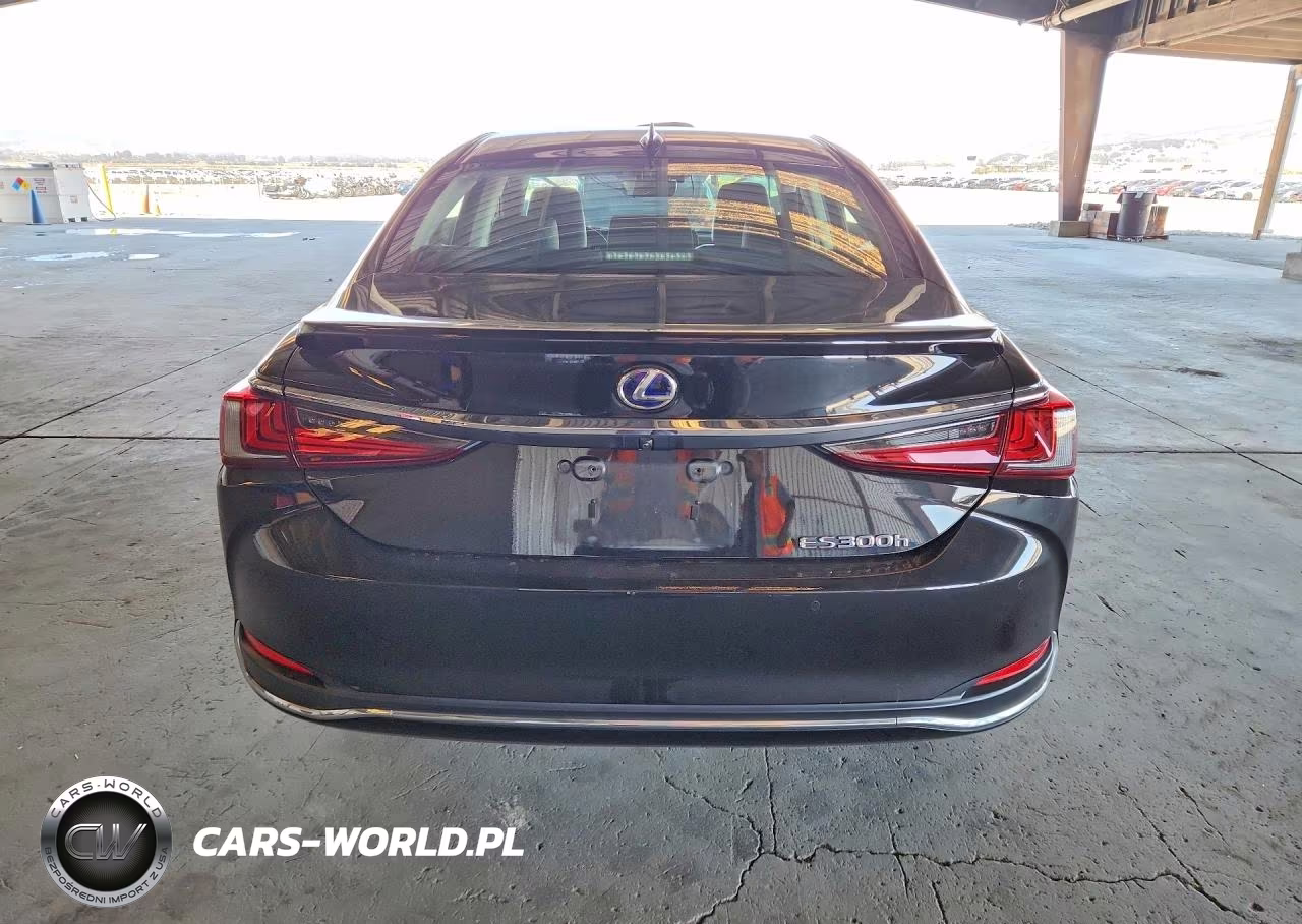 2019 Lexus Es 300H VIN:58AB21B16KU002169 - 6