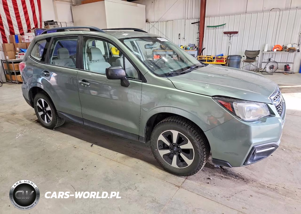 2017 Subaru Forester 2.5I VIN:JF2SJABC4HH411709 - 4