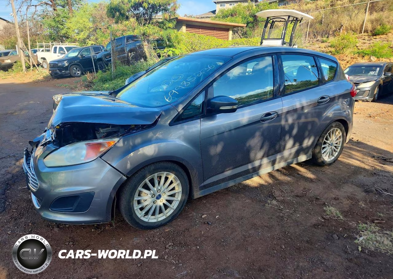 2013 Ford C-Max Se VIN:1FADP5AU3DL552484 - 1