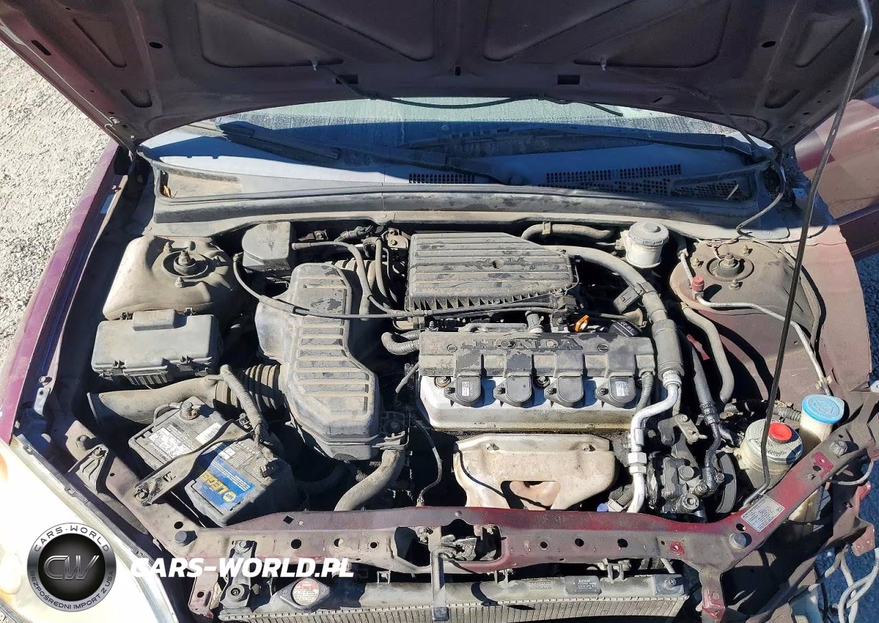 2003 Honda Civic Lx VIN:2HGES16513H596228 - 11