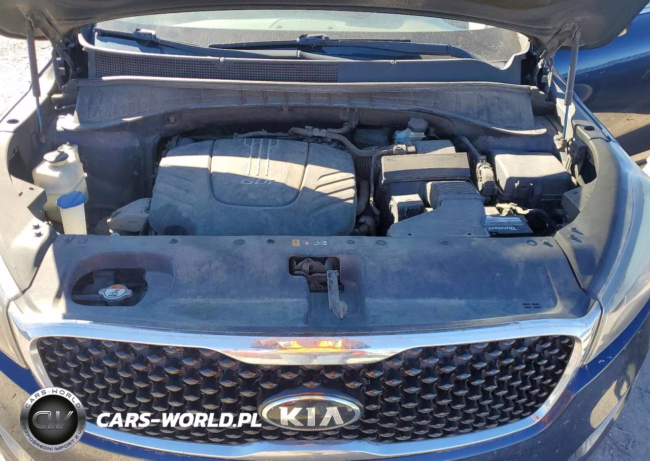 2016 Kia Sorento Ex VIN:5XYPHDA50GG111922 - 12