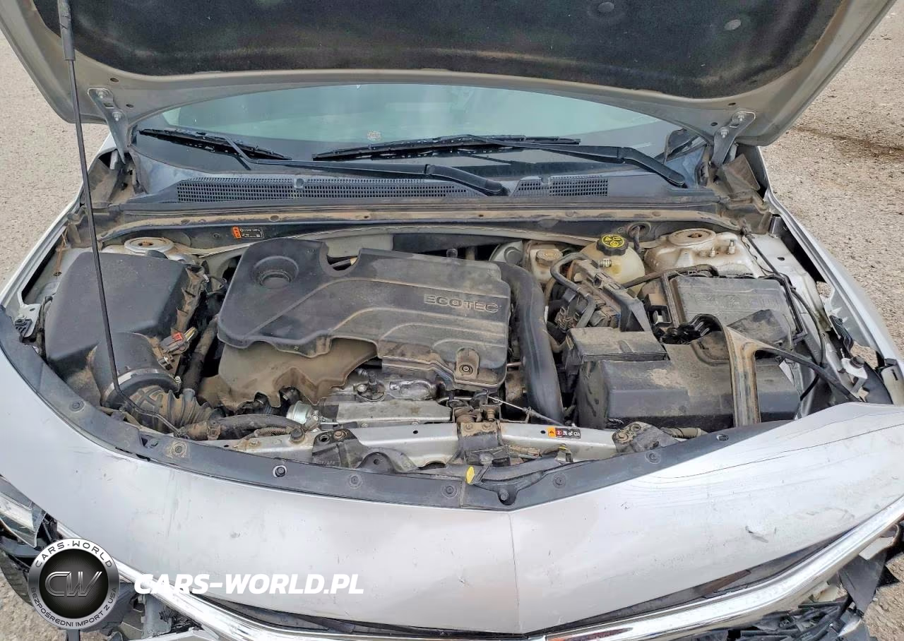 2019 Chevrolet Malibu Lt VIN:1G1ZD5ST3KF143288 - 11