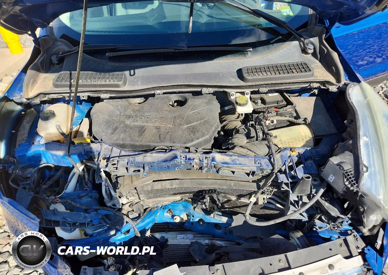 2017 Ford Escape Se VIN:1FMCU0G97HUA21000 - 12