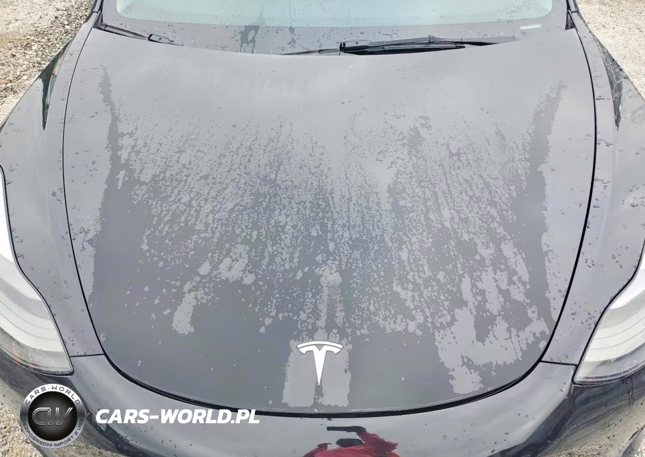 2023 Tesla Model 3 VIN:5YJ3E1EAXPF434718 - 11