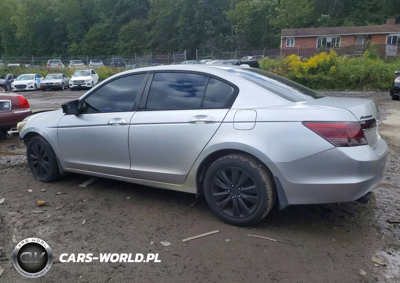 2011 Honda Accord Exl VIN:1HGCP3F8XBA012517 - 2