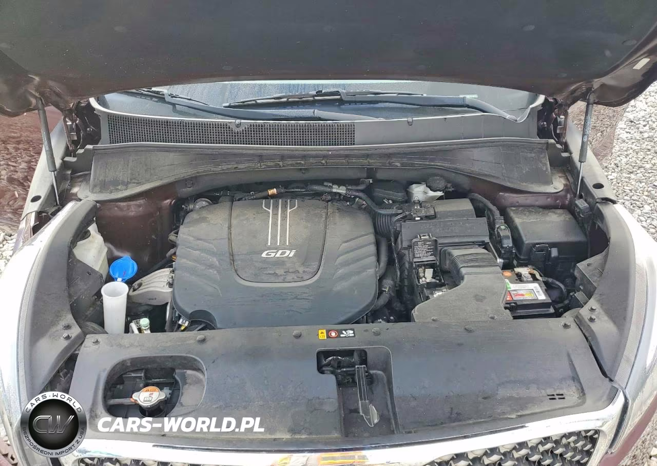 2017 Kia Sorento Sx V6 VIN:5XYPK4A58HG225282 - 12