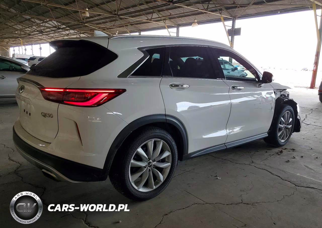 2019 Infiniti Qx50 Luxe VIN:3PCAJ5M3XKF113932 - 3
