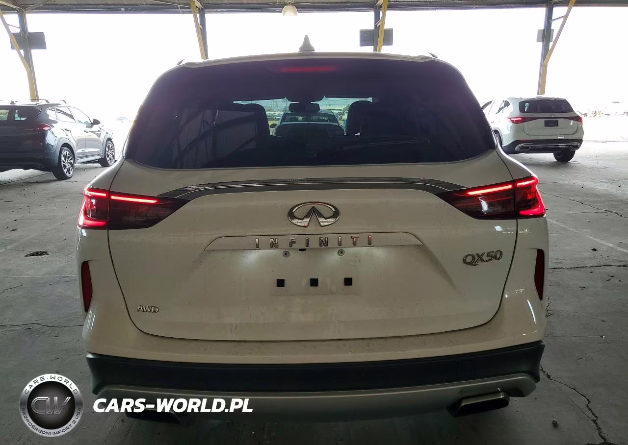 2019 Infiniti Qx50 Luxe VIN:3PCAJ5M3XKF113932 - 6
