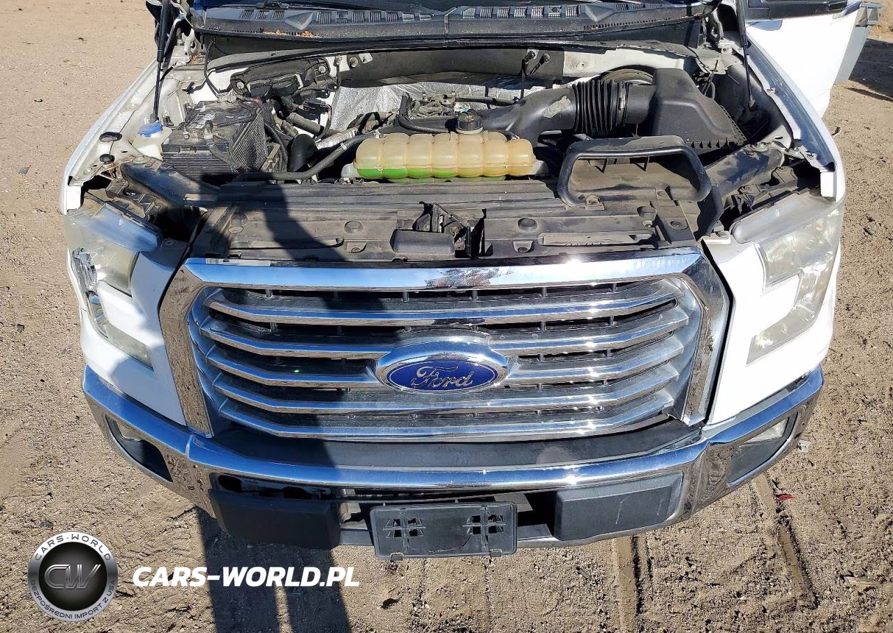 2015 Ford F150 Supercrew VIN:1FTEW1CPXFKE75655 - 11